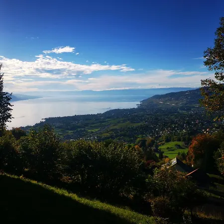 Elvira House Montreux, Un Lieu Magique ! Villa Buitenkant foto