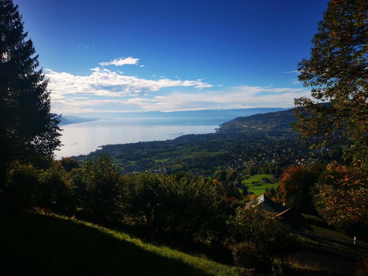 Chalet Elvira House Montreux, Un Lieu Magique ! *